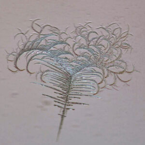 Massage rituel d'apaisement vertébral