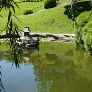 Massage voyage au cœur des pieds